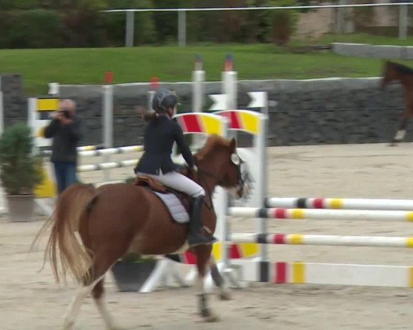 Reitturnier Frankenhof-Sonnefeld/Ofr. 2019