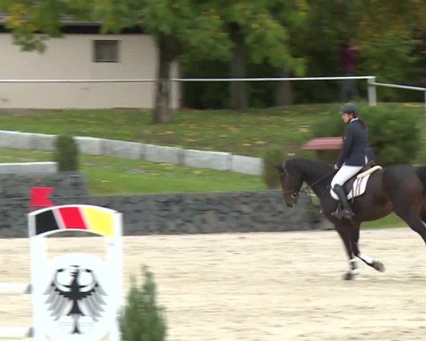 Reitturnier Frankenhof-Sonnefeld/Ofr. 2019