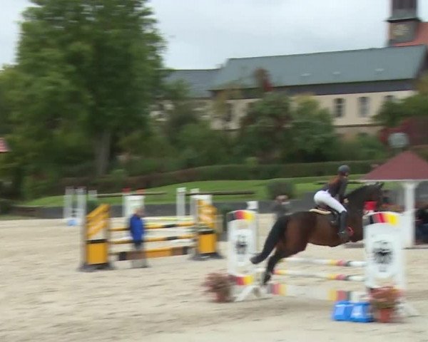 Reitturnier Frankenhof-Sonnefeld/Ofr. 2019