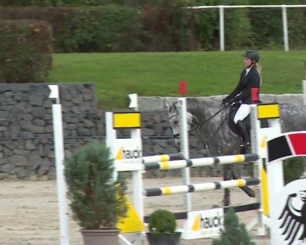 Reitturnier Frankenhof-Sonnefeld/Ofr. 2019