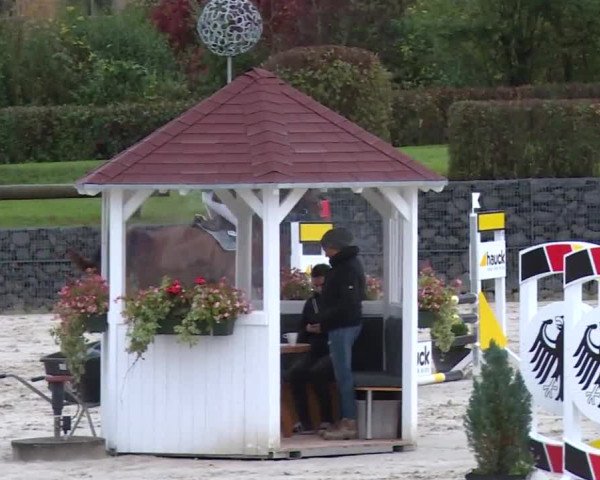 Reitturnier Frankenhof-Sonnefeld/Ofr. 2019
