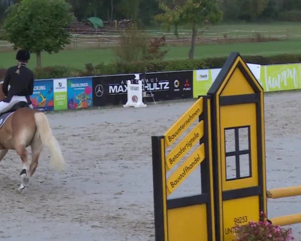Reitturnier Frankenhof-Sonnefeld/Ofr. 2019