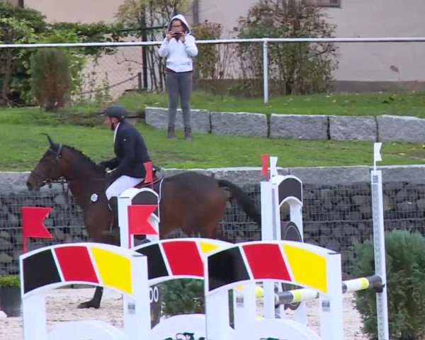 Reitturnier Frankenhof-Sonnefeld/Ofr. 2019