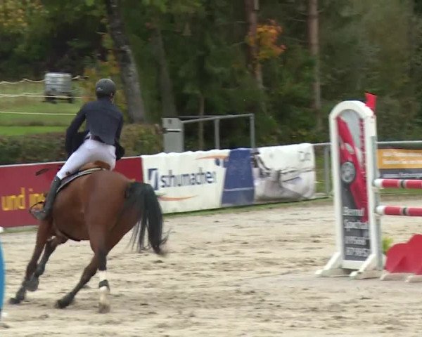 Reitturnier Frankenhof-Sonnefeld/Ofr. 2019