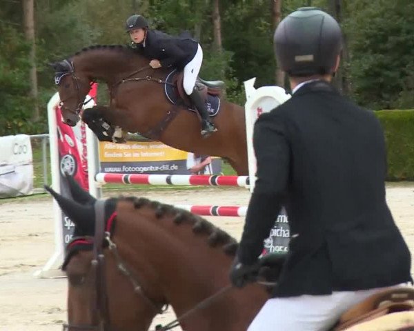 Reitturnier Frankenhof-Sonnefeld/Ofr. 2019