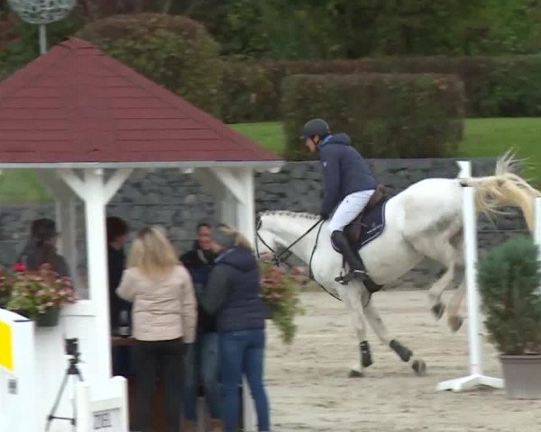 Reitturnier Frankenhof-Sonnefeld/Ofr. 2019