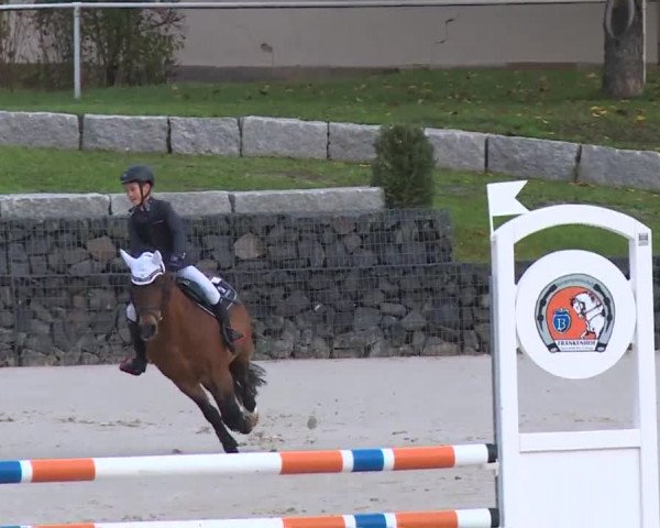 Reitturnier Frankenhof-Sonnefeld/Ofr. 2019