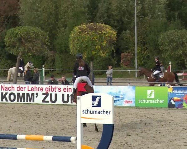 Reitturnier Frankenhof-Sonnefeld/Ofr. 2019