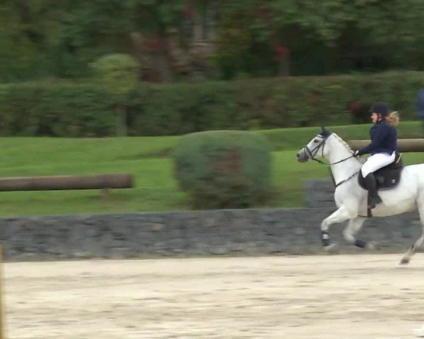 Reitturnier Frankenhof-Sonnefeld/Ofr. 2019