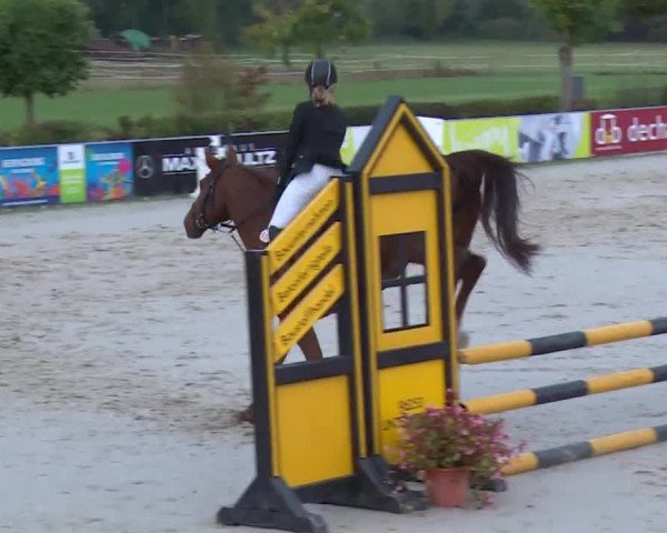 Reitturnier Frankenhof-Sonnefeld/Ofr. 2019