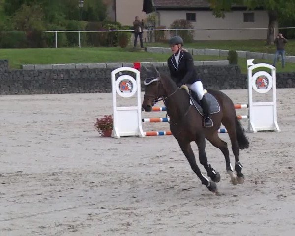 Reitturnier Frankenhof-Sonnefeld/Ofr. 2019