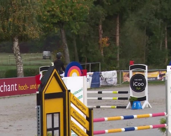 Reitturnier Frankenhof-Sonnefeld/Ofr. 2019