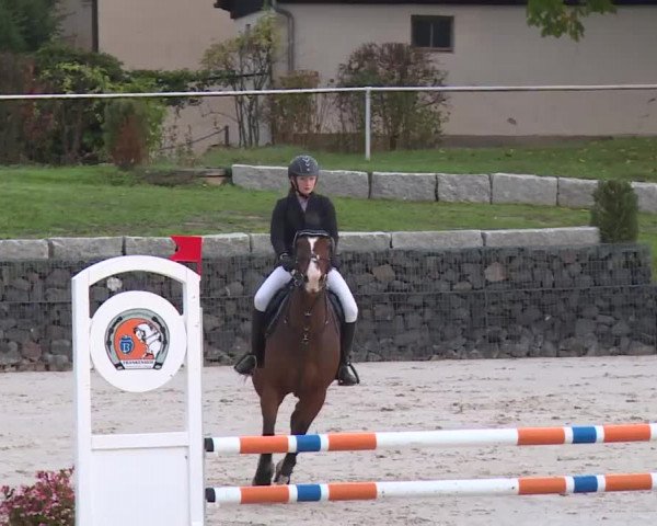 Reitturnier Frankenhof-Sonnefeld/Ofr. 2019