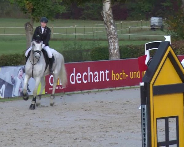 Reitturnier Frankenhof-Sonnefeld/Ofr. 2019