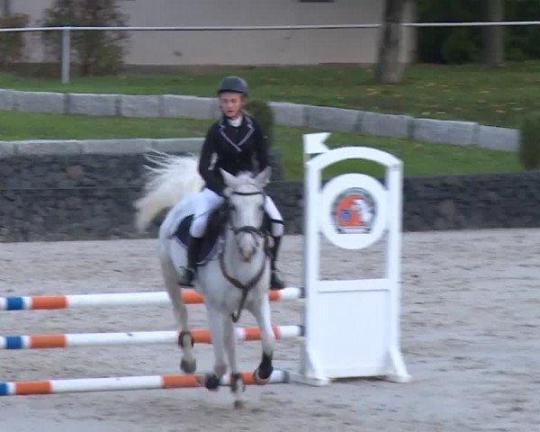 Reitturnier Frankenhof-Sonnefeld/Ofr. 2019