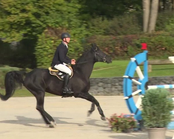Reitturnier Frankenhof-Sonnefeld/Ofr. 2019