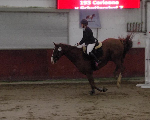 Reitturnier Neunkirchen-Furpach 2019