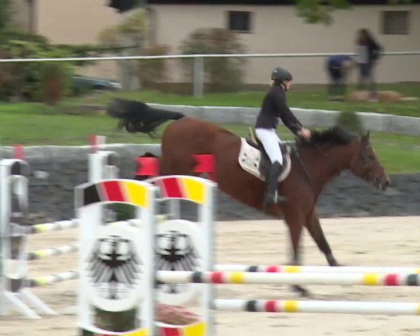 Reitturnier Frankenhof-Sonnefeld/Ofr. 2019