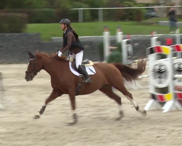 Reitturnier Frankenhof-Sonnefeld/Ofr. 2019