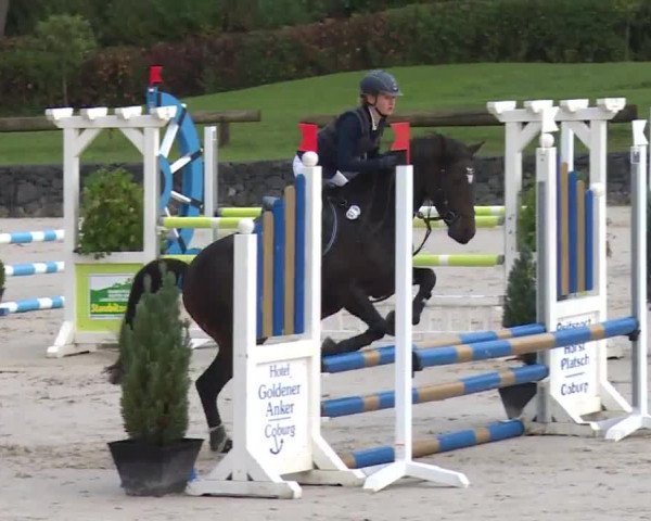 Reitturnier Frankenhof-Sonnefeld/Ofr. 2019