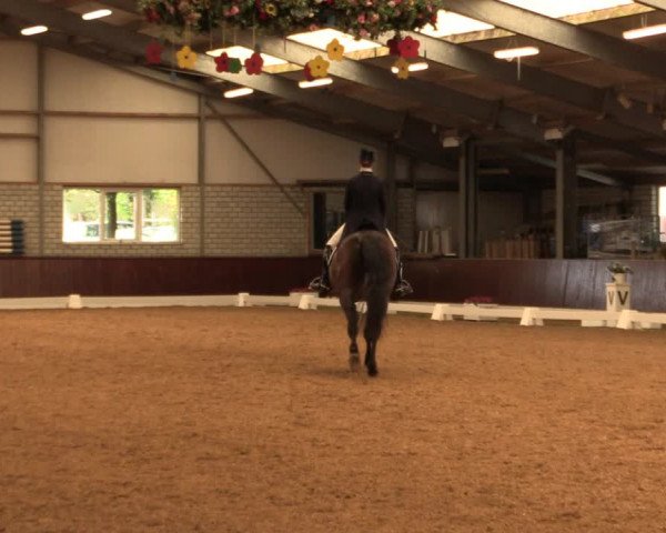 Reitturnier Kirchhellen-RSV Zur Linde 2019
