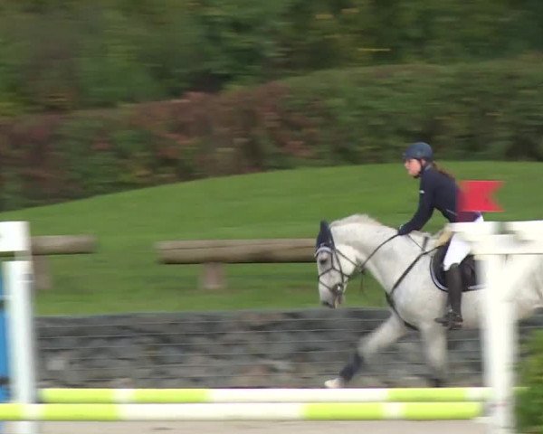 Reitturnier Frankenhof-Sonnefeld/Ofr. 2019
