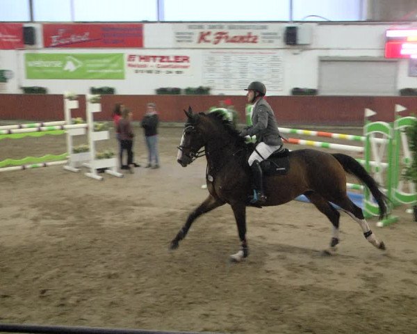 Reitturnier Neunkirchen-Furpach 2019