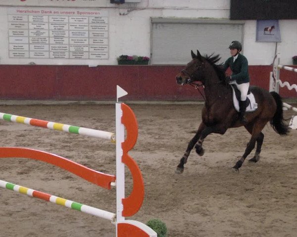 Reitturnier Neunkirchen-Furpach 2019