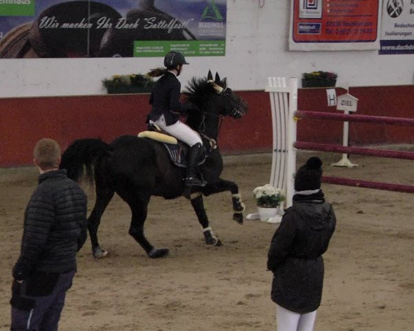 Reitturnier Neunkirchen-Furpach 2019