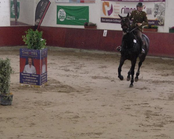 Reitturnier Neunkirchen-Furpach 2019