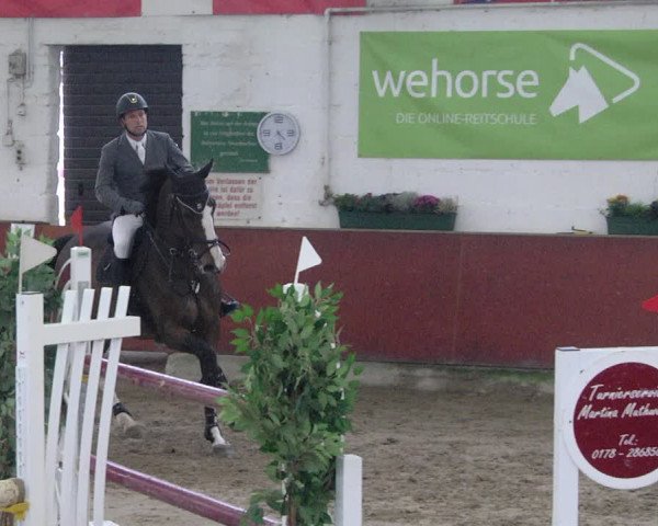 Reitturnier Neunkirchen-Furpach 2019