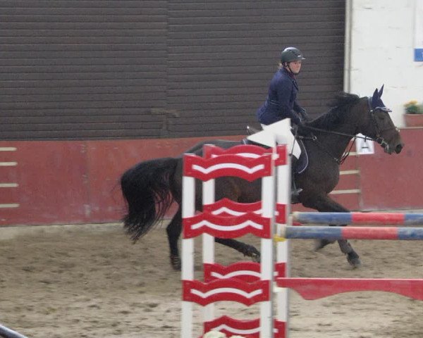 Reitturnier Neunkirchen-Furpach 2019