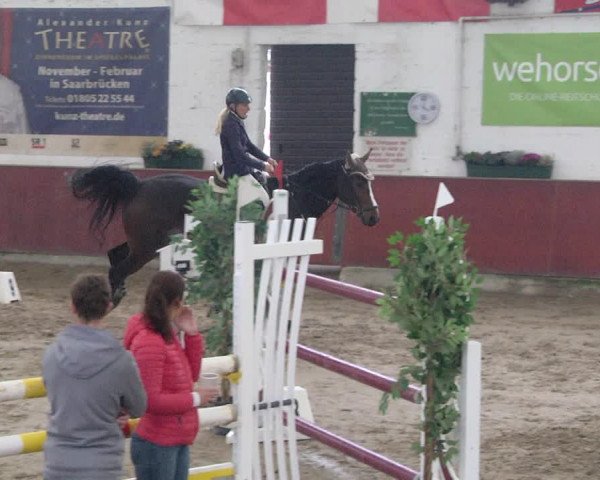Reitturnier Neunkirchen-Furpach 2019