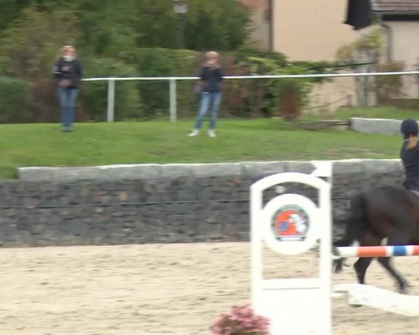 Reitturnier Frankenhof-Sonnefeld/Ofr. 2019