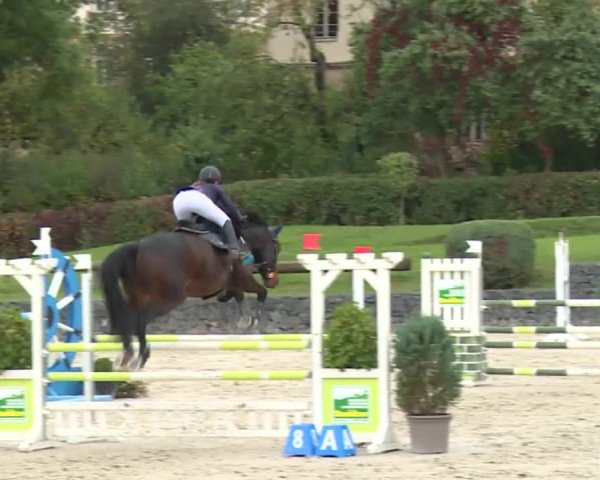 Reitturnier Frankenhof-Sonnefeld/Ofr. 2019