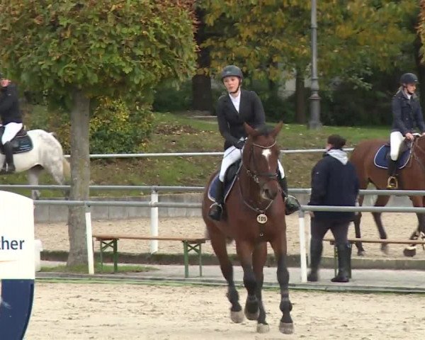 Reitturnier Frankenhof-Sonnefeld/Ofr. 2019