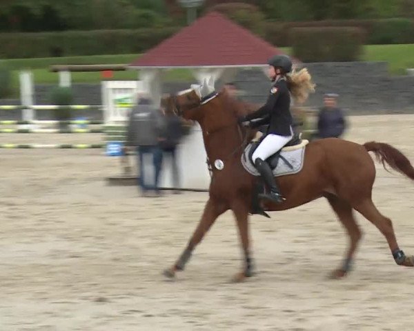 Reitturnier Frankenhof-Sonnefeld/Ofr. 2019