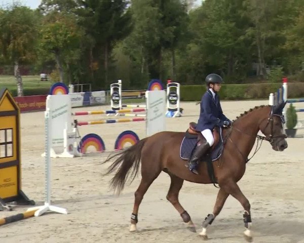 Reitturnier Frankenhof-Sonnefeld/Ofr. 2019