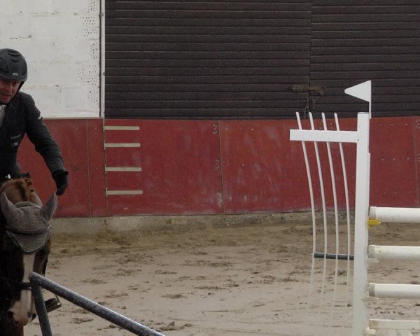 Reitturnier Neunkirchen-Furpach 2019