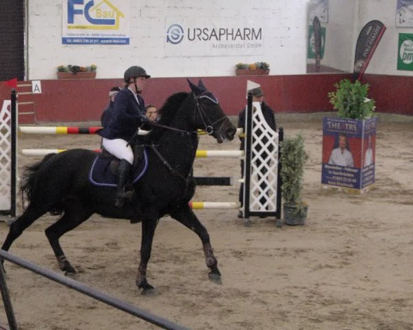 Reitturnier Neunkirchen-Furpach 2019
