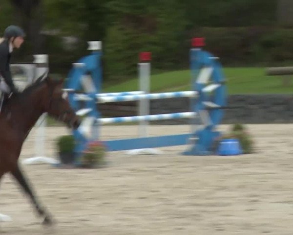 Reitturnier Frankenhof-Sonnefeld/Ofr. 2019