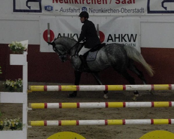 Reitturnier Neunkirchen-Furpach 2019