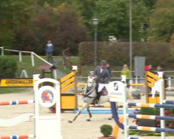 Reitturnier Frankenhof-Sonnefeld/Ofr. 2019