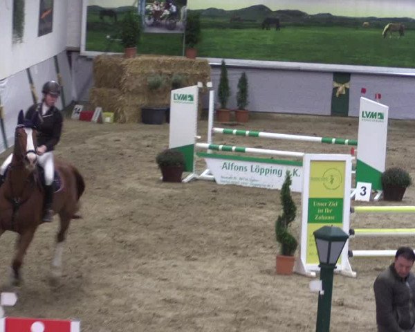 Reitturnier Legden 2019