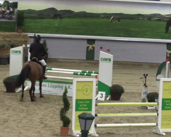 Reitturnier Legden 2019
