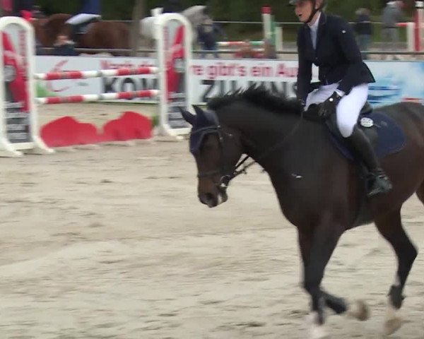 Reitturnier Frankenhof-Sonnefeld/Ofr. 2019