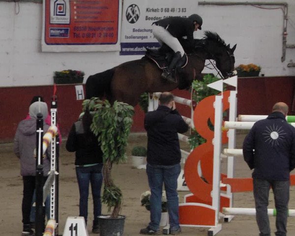 Reitturnier Neunkirchen-Furpach 2019