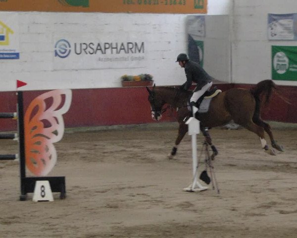 Reitturnier Neunkirchen-Furpach 2019