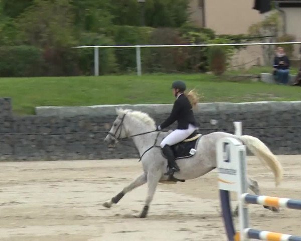 Reitturnier Frankenhof-Sonnefeld/Ofr. 2019