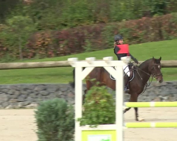Reitturnier Frankenhof-Sonnefeld/Ofr. 2019